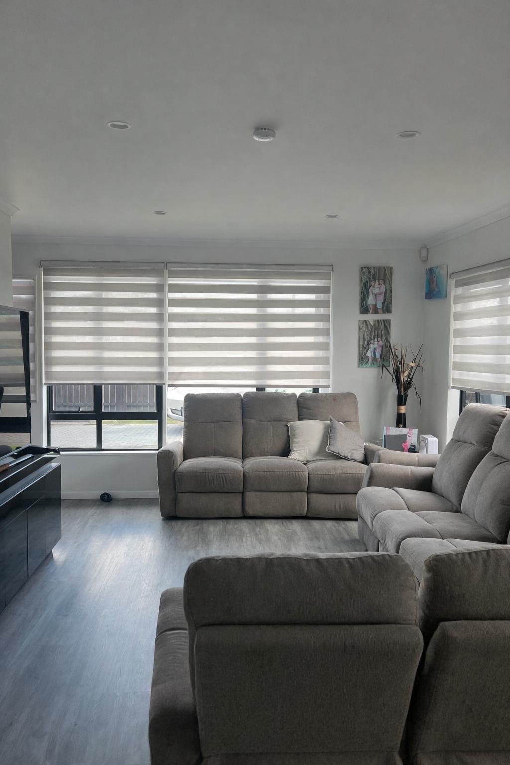 Modern zebra blinds